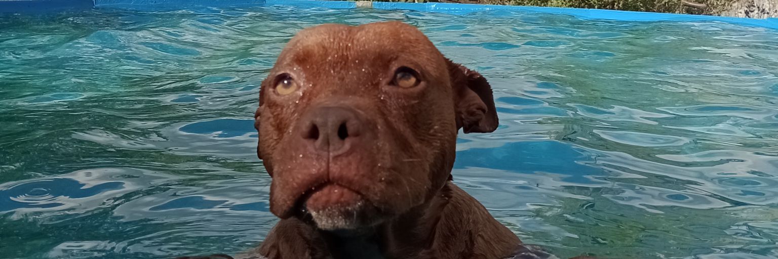 zarateludd's profile banner image