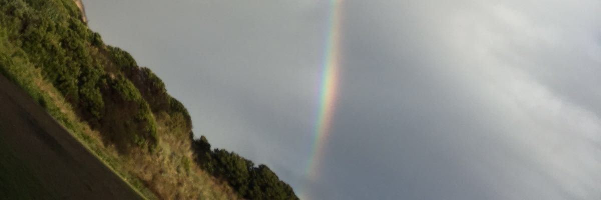 sesamecut's profile banner image