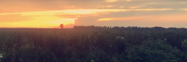 Bradley Stephens banner