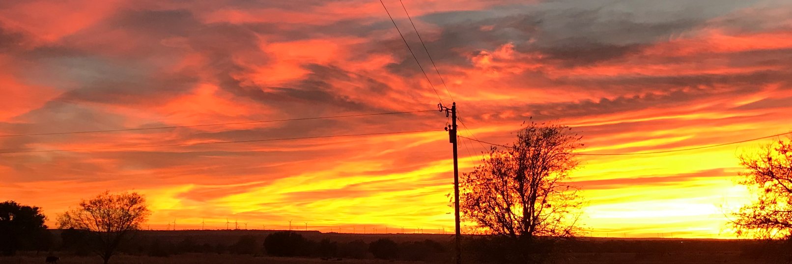 Jim McCasland ☮️ banner