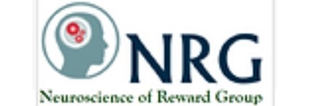 NRG Lab banner