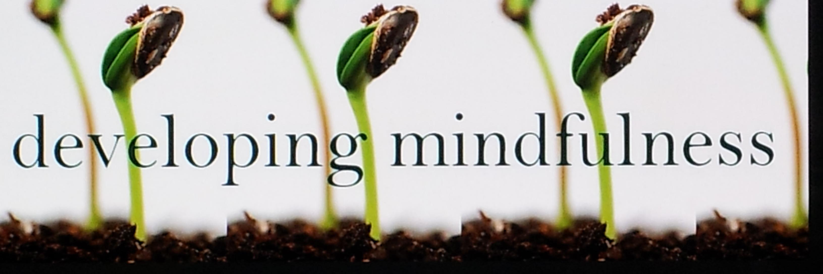 Mindfulprofes's profile banner image
