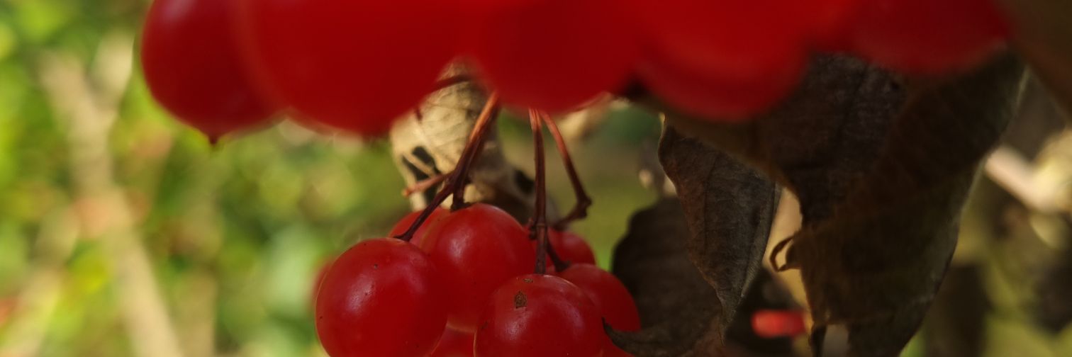 ddwilde's profile banner image