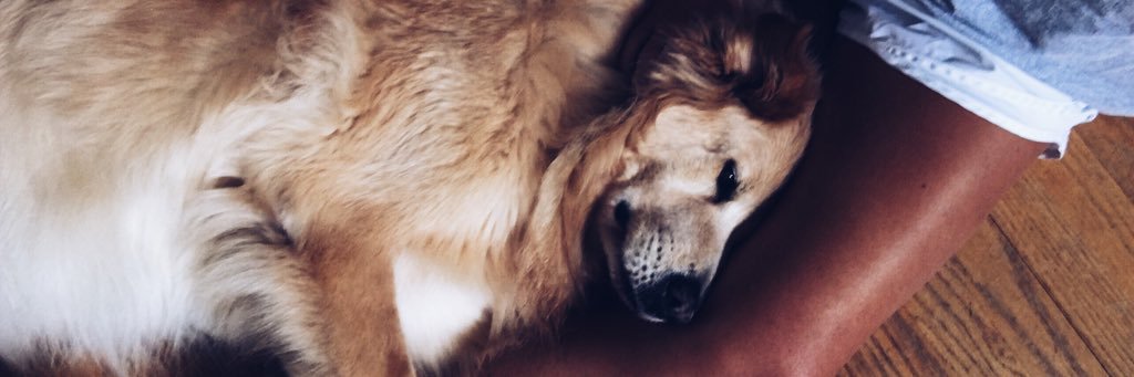 kateegranerr's profile banner image