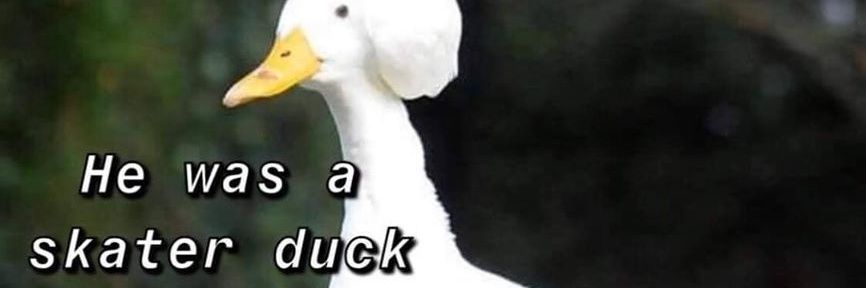 RetroSpaceDucky's profile banner image