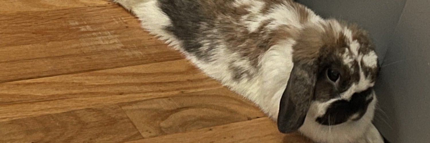 ImposterNai's profile banner image