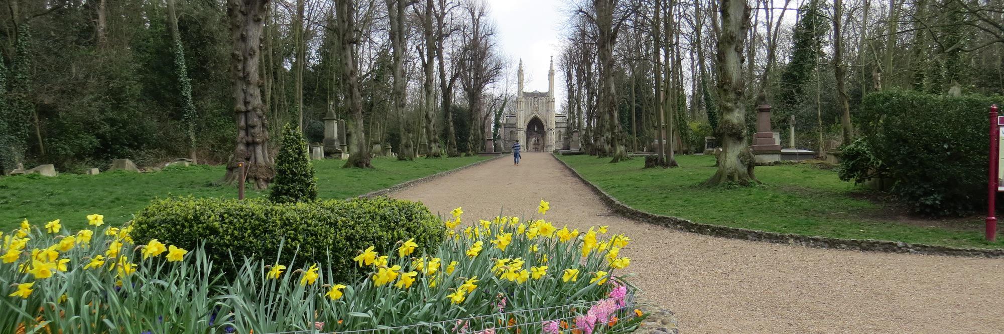 NunheadWI's profile banner image