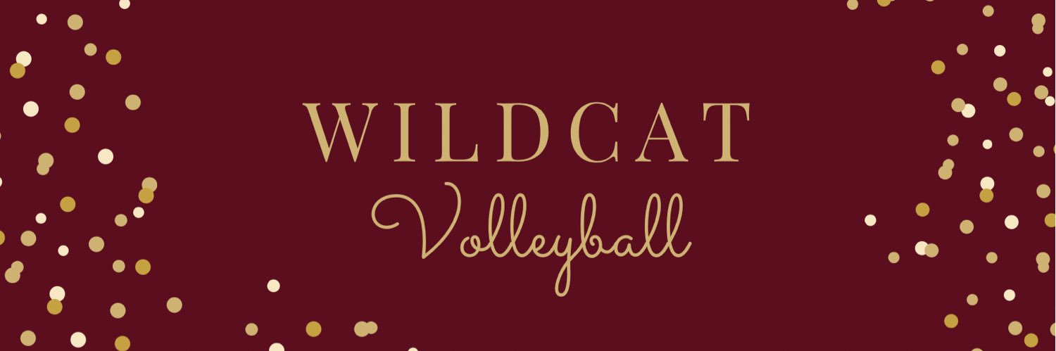 LR Wildcat Volleyball banner