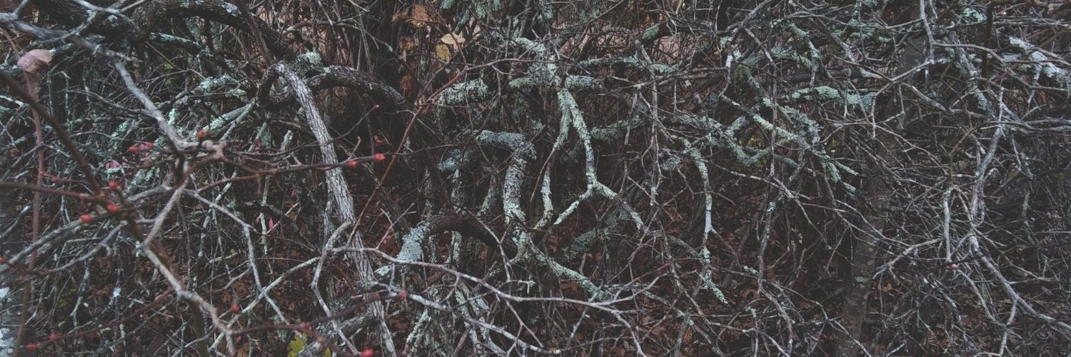 FemmCrow's profile banner image