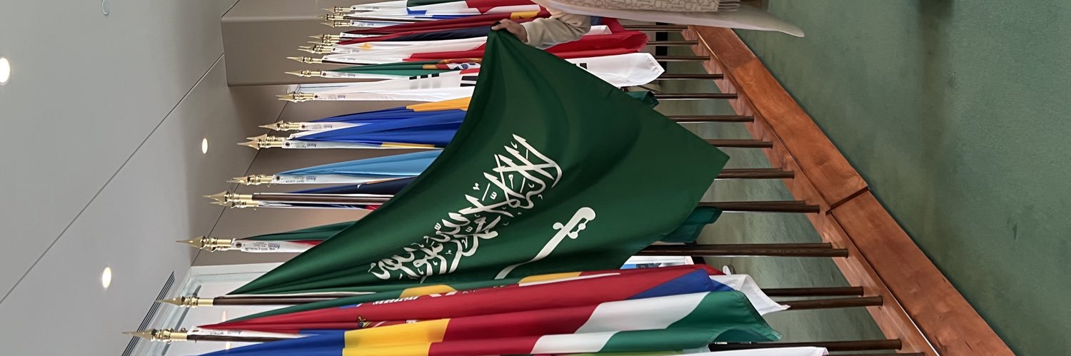 alanoudalomran's profile banner image