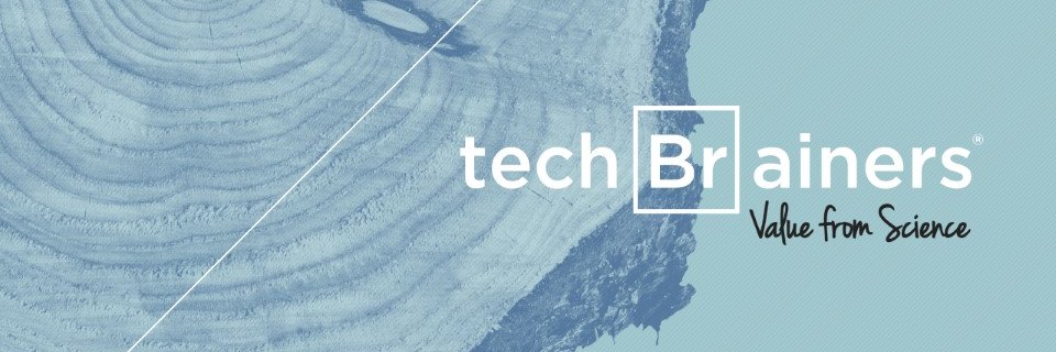 techBrainers banner