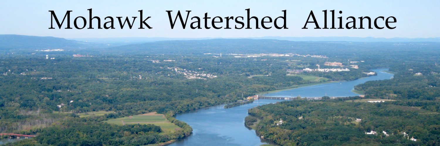 MWatershed's profile banner image