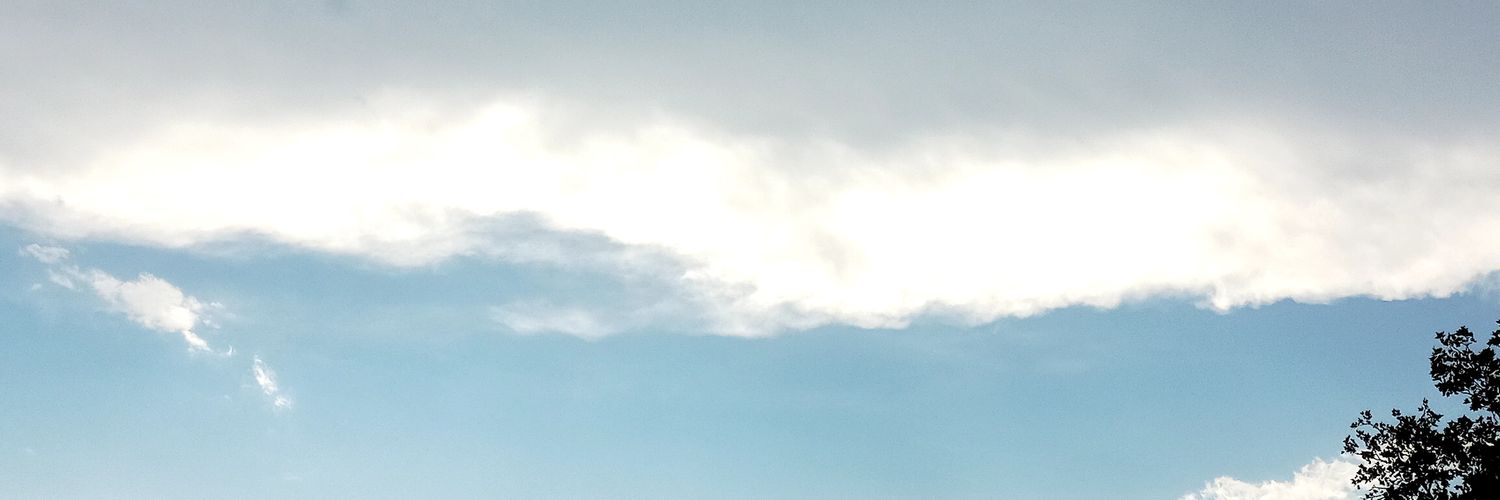 nccpalomo's profile banner image