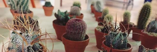 Krystinaliddle_'s profile banner image