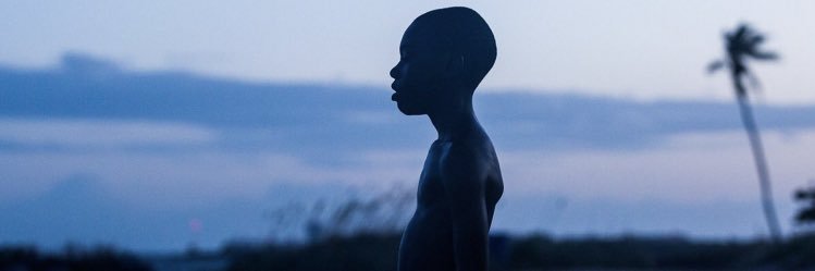 NotoriousPNutt's profile banner image