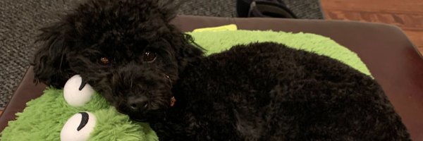 MaxGelman Profile Banner