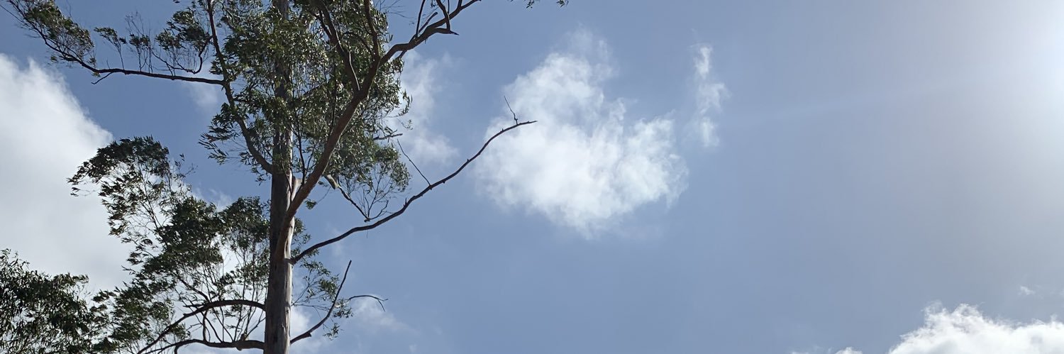 Marucha1512's profile banner image