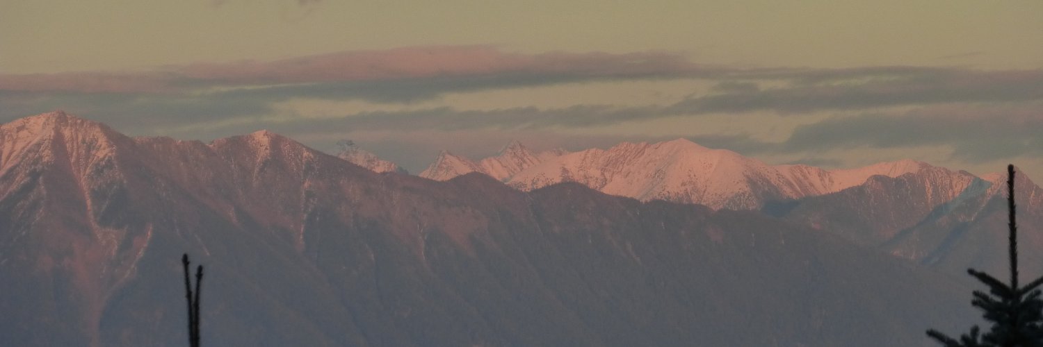 Tamara DeCosse banner