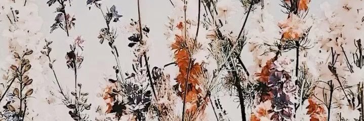 KissellEmma's profile banner image