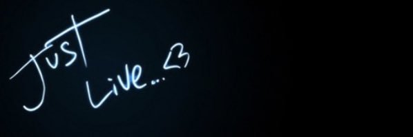 saviiibee's profile banner image