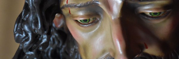 NPJSkirri Profile Banner