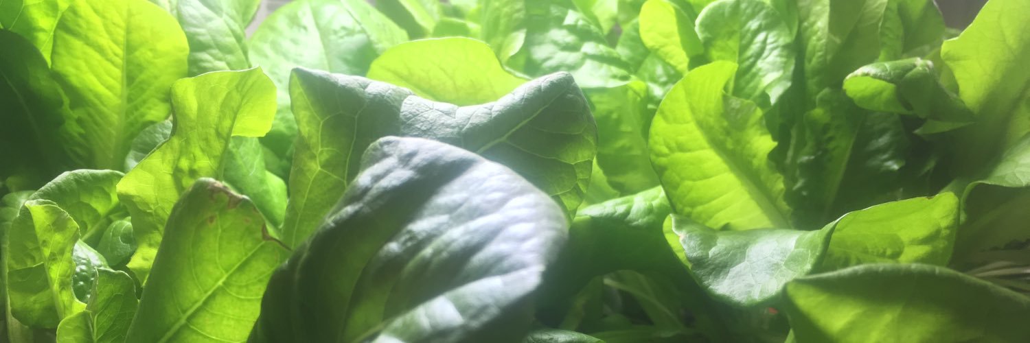 2ndFloorFarms's profile banner image
