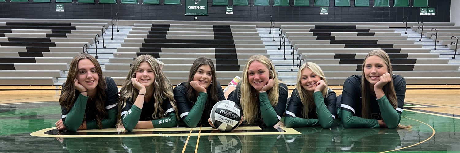BADINVOLLEYBALL's profile banner image