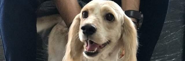 CesarMaIdonado's profile banner image