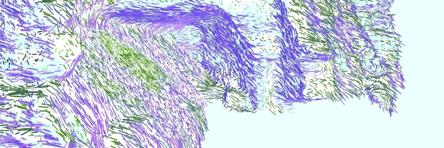 Stéphane Buellet banner