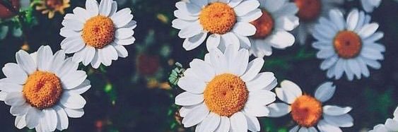 katarrc's profile banner image