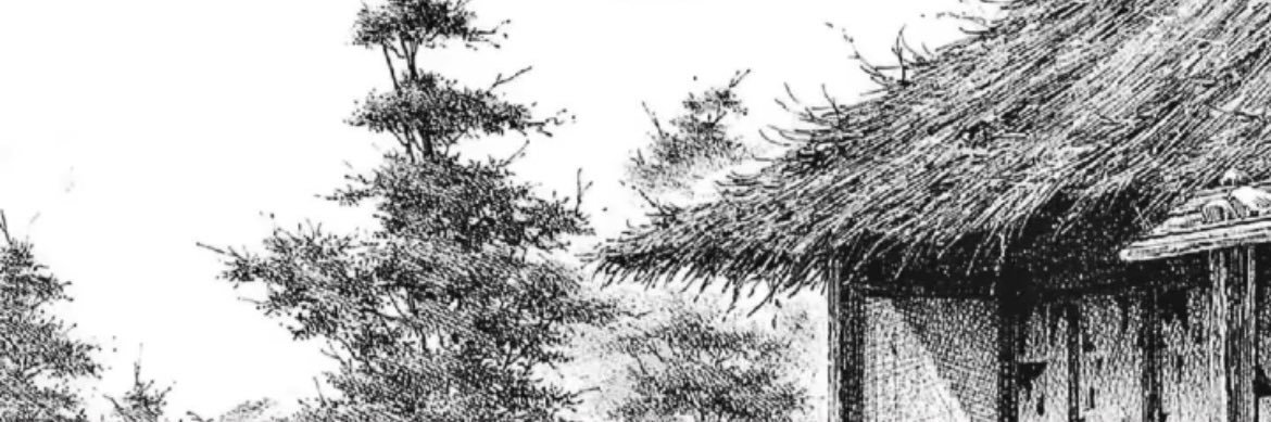 thbreves's profile banner image