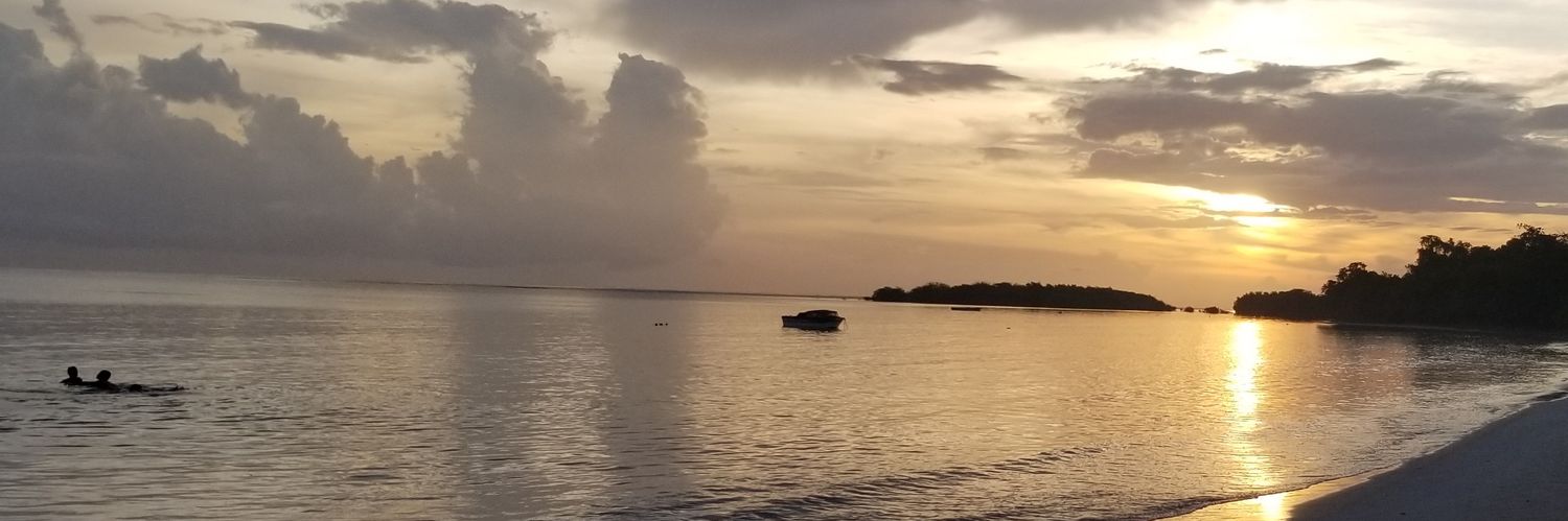 roweridley's profile banner image