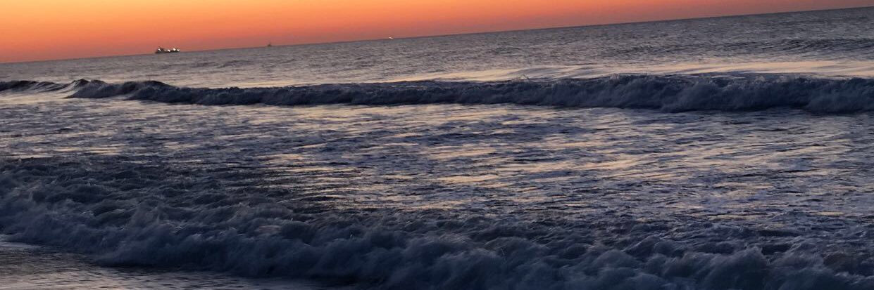 domwalt9's profile banner image
