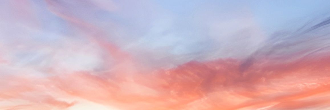 winterxjune's profile banner image