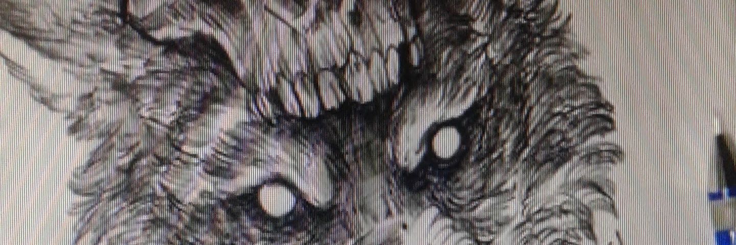 Ruger_75's profile banner image