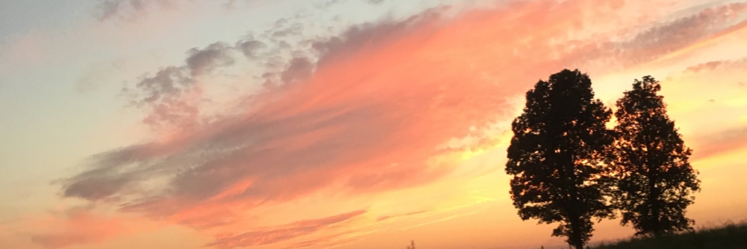 Amandageee's profile banner image