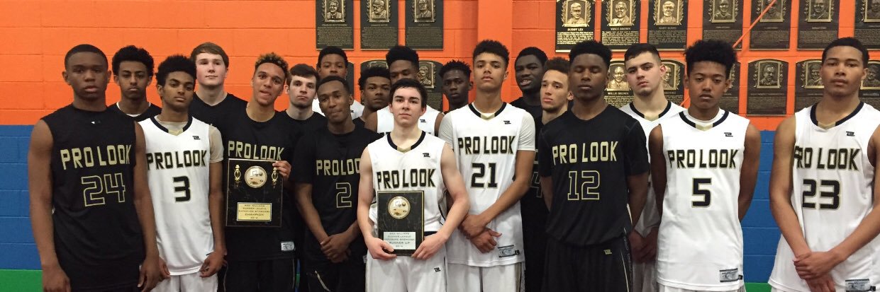 Team Prolook banner