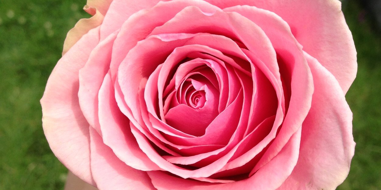 TaylinKay's profile banner image