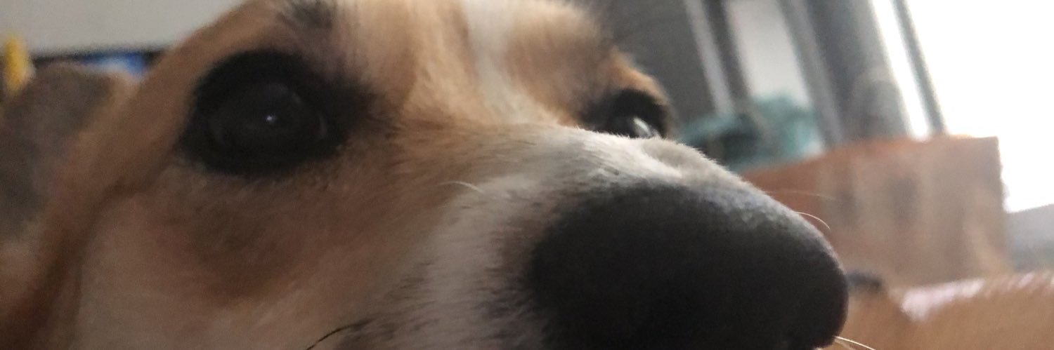 Meghan_Martin18's profile banner image