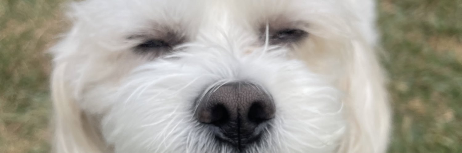 darlenem07's profile banner image