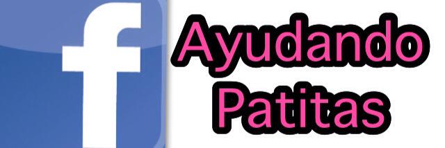 A_Patitas's profile banner image