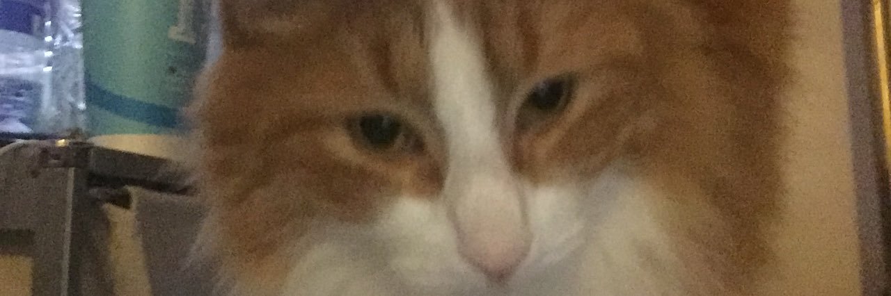Imjustajew's profile banner image
