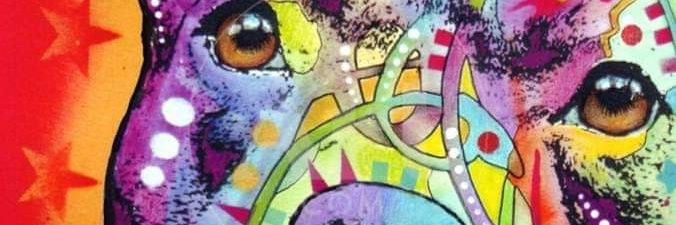 solcitowp's profile banner image