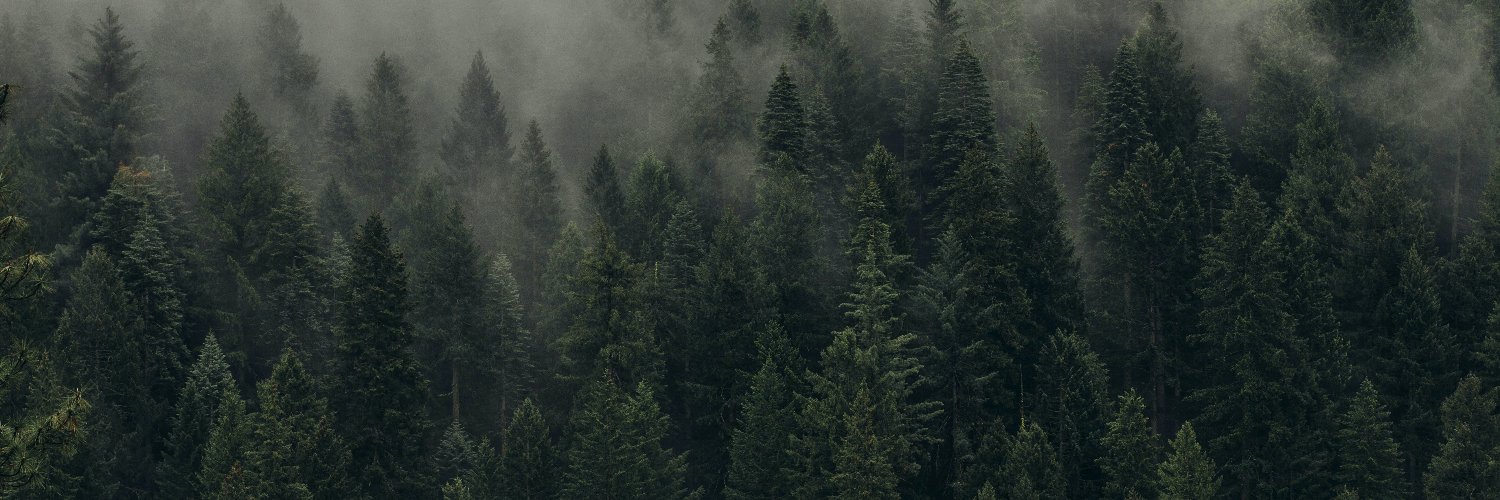Erocko banner