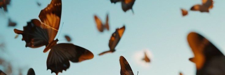 Dope_HEARTED_'s profile banner image