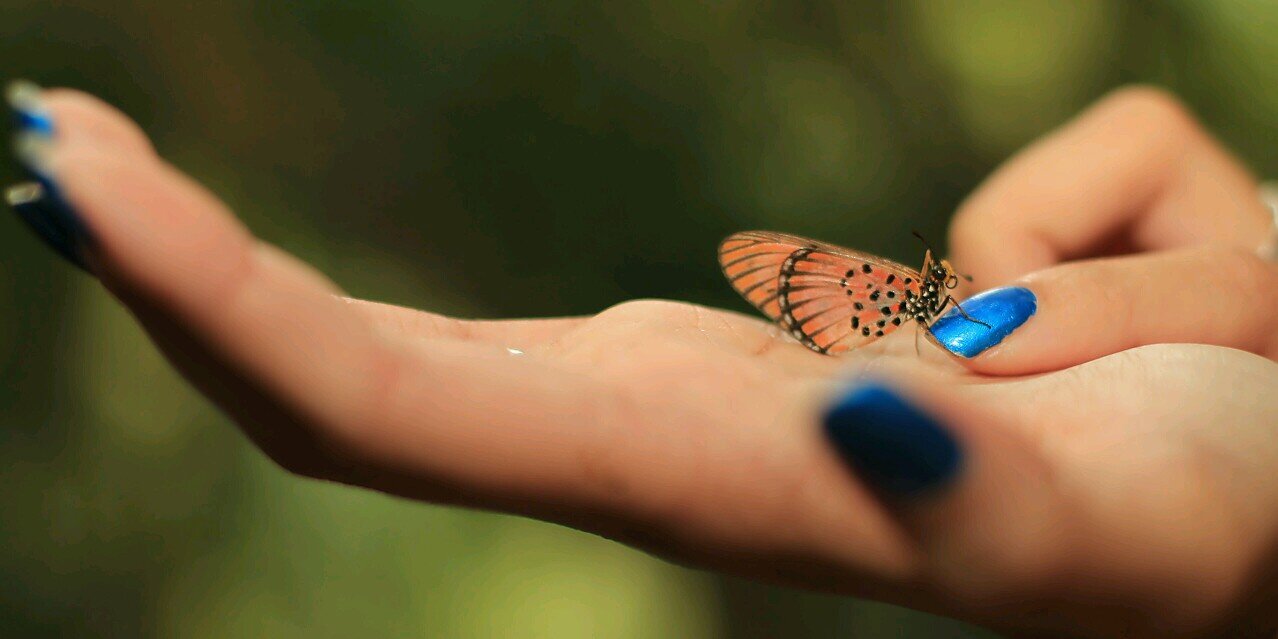 𝓣𝓻𝓲𝓼𝓱𝓪 𝓙𝓪𝓬𝓸𝓫𝓼 banner