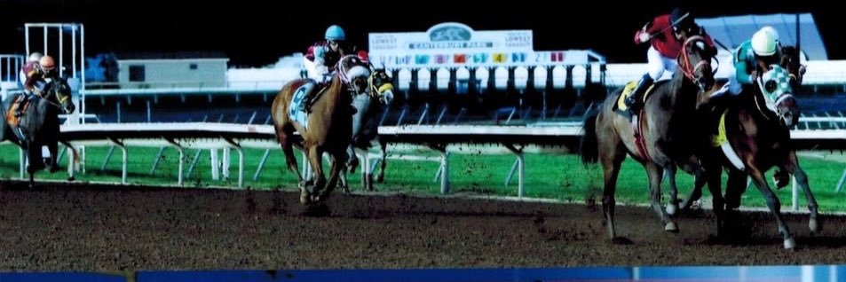 horseface51's profile banner image