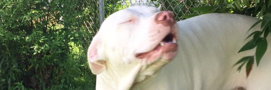 JmanSmitty's profile banner image