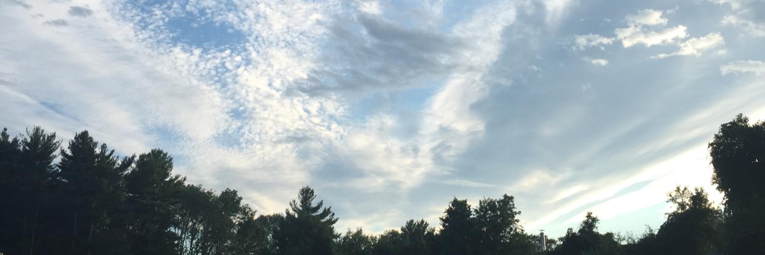 LanieOakley's profile banner image