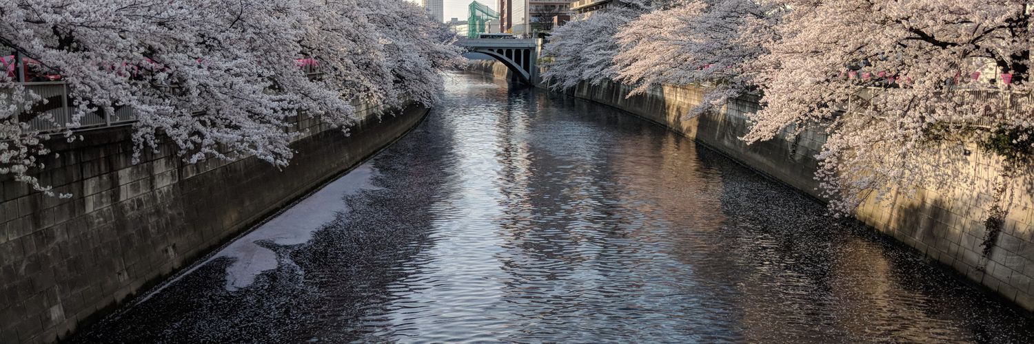 Steven Lamb 🐑 banner